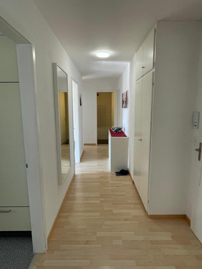 3-Room Apartment For Business Travelers & Families, Free Wifi & Tv With 70 Countries, Dazn, Sky, Netflix & Disney Wynau ภายนอก รูปภาพ